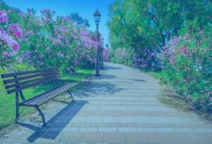 Changes to common property