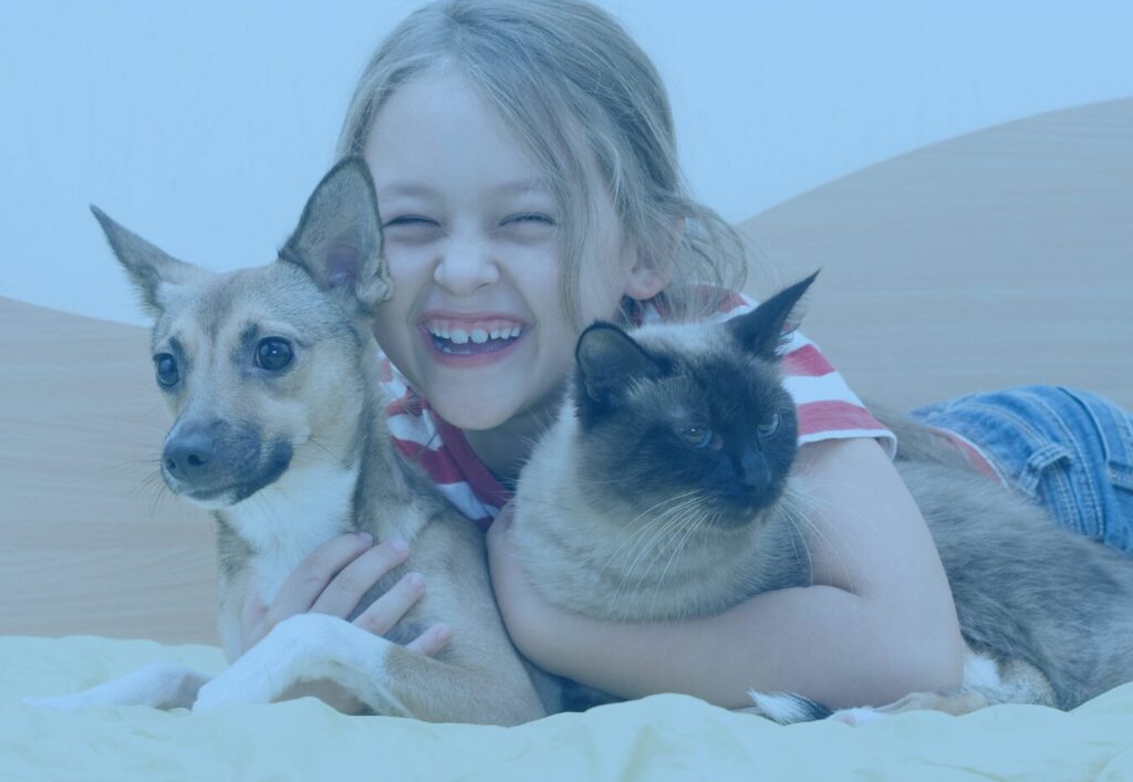 Pet application